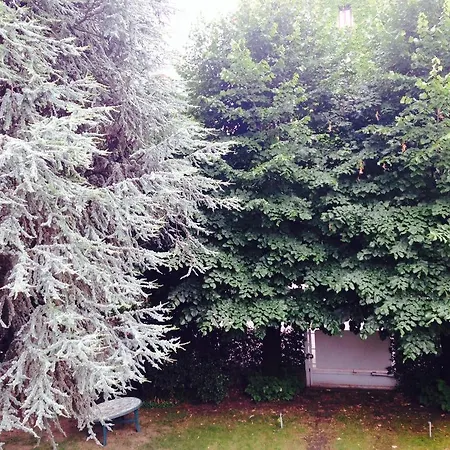 Apartman Il Cedro Argentato *