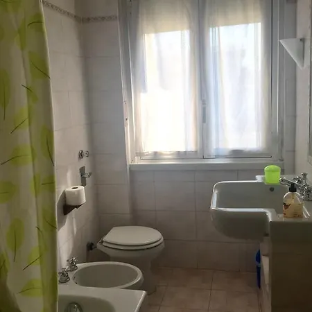 Il Cedro Argentato *