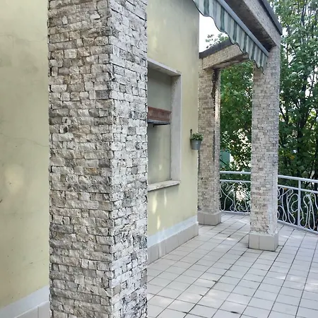 Il Cedro Argentato *