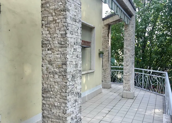 Il Cedro Argentato *